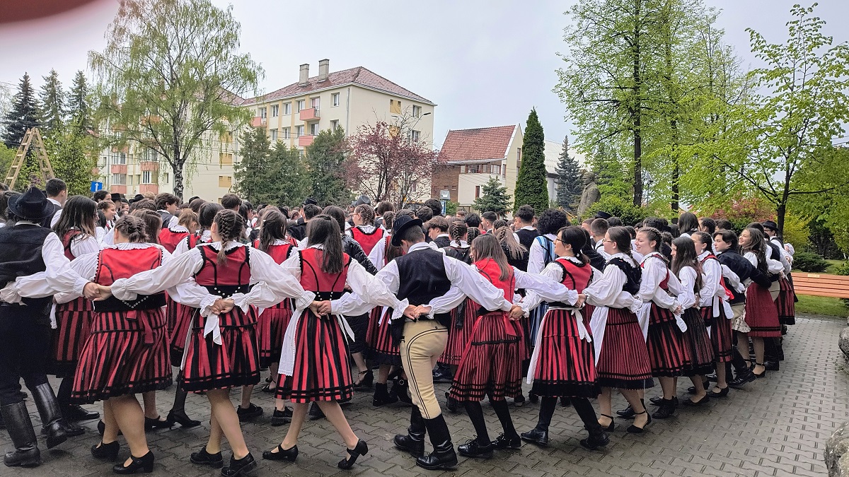 Barabás-Pál Hajnalka